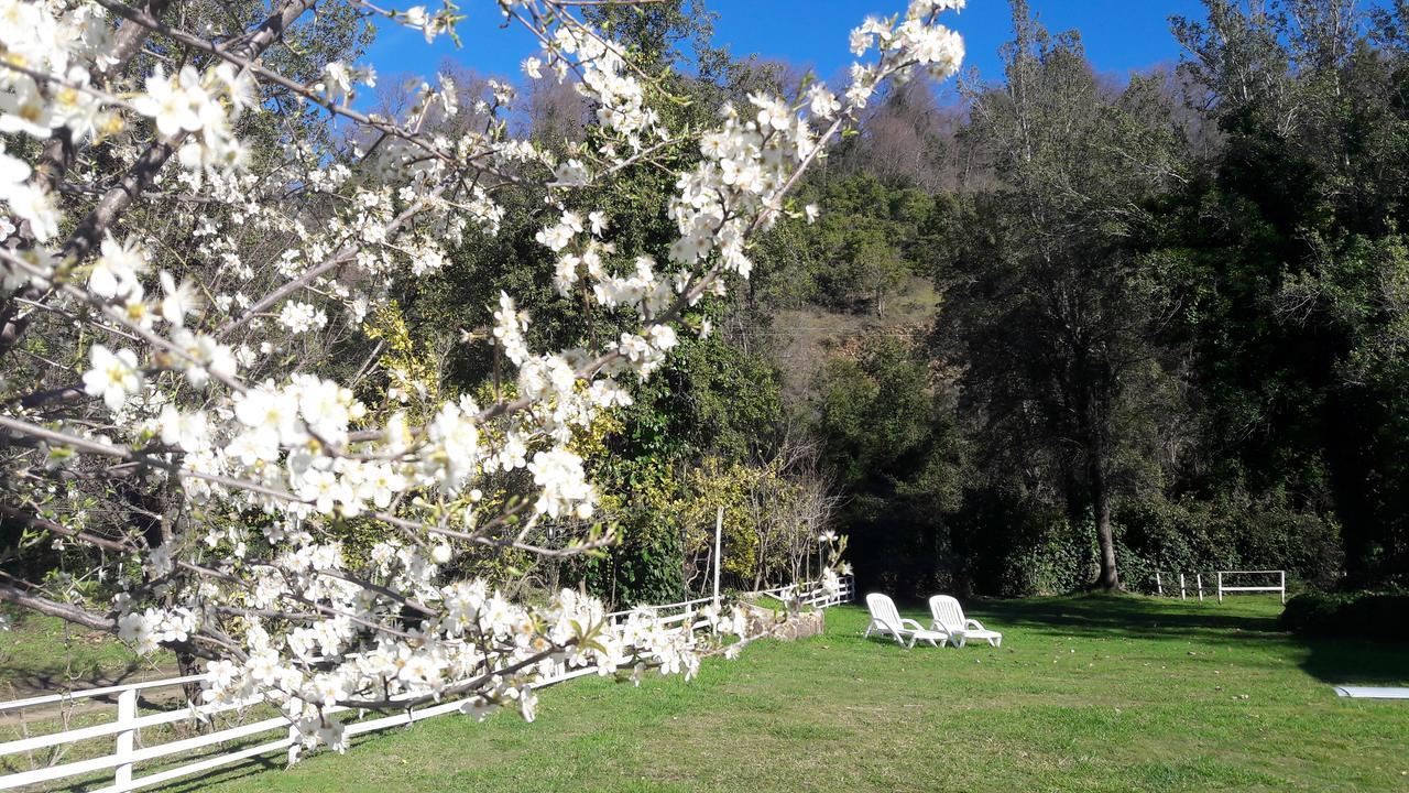 El Fogon De Rio Claro Otel Dış mekan fotoğraf