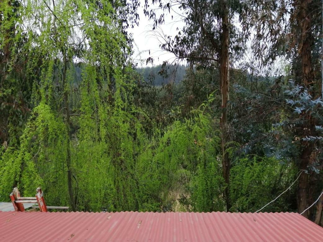 El Fogon De Rio Claro Otel Dış mekan fotoğraf