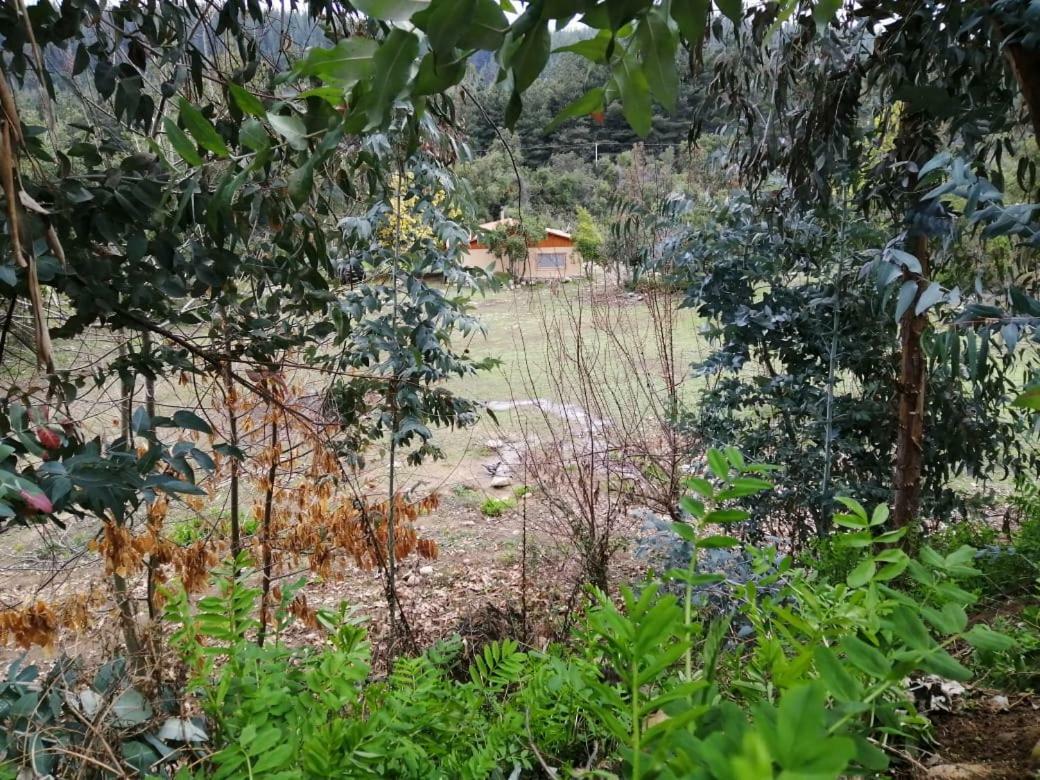 El Fogon De Rio Claro Otel Dış mekan fotoğraf